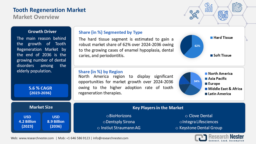 Tooth Regeneration Market.PNG